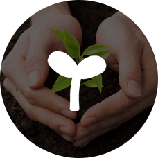 養生(shēng)加盟