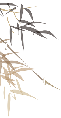 養生(shēng)館加盟